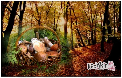 Грибникам на заметку