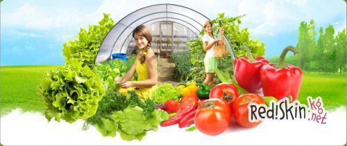 Оборудование теплиц