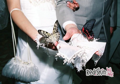 Прикольные подарки на свадьбу