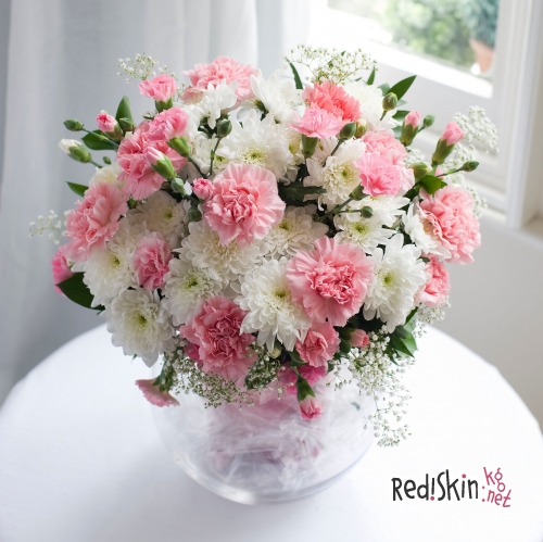 Разнообразие гвоздик