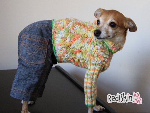 Бишкекчанка Василиса Калашникова создает наряды для собак и кошек