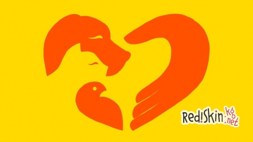 Что делать, если у собаки мастит?