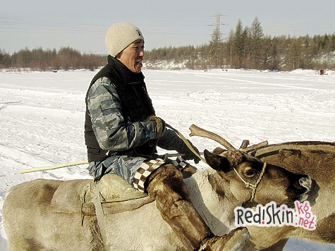 Белка на рожне Белка на рожне