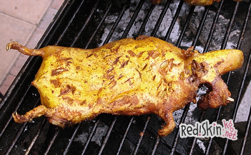 Белка на рожне