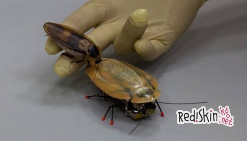 Россия представляет своего нового робота шпиона - таракана