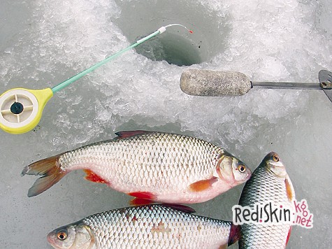 Поездка на Березину