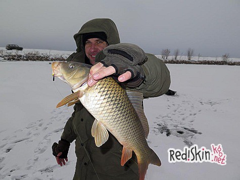 Рождественский карпфишинг