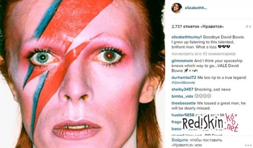Мадонна, Шер, Дэвид Бекхэм, Рассел Кроу, Игги Поп и другие звезды о смерти Дэвида Боуи