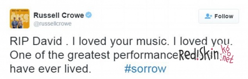 Мадонна, Шер, Дэвид Бекхэм, Рассел Кроу, Игги Поп и другие звезды о смерти Дэвида Боуи