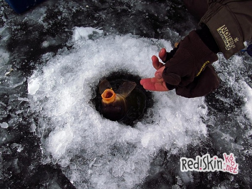 Рождественский карпфишинг