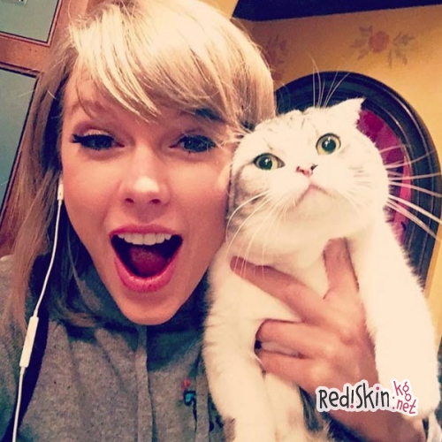 Топ 10 самых популярных домашних животнох знаменитостей: Тейлор Свифт, Бруклин Бекхэм, Крисси Тиган, Деми Ловато, Майли Сайрус, Льюис Хэмилтон, Кайли Дженнер, Кейли Куоко