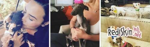 Топ 10 самых популярных домашних животнох знаменитостей: Тейлор Свифт, Бруклин Бекхэм, Крисси Тиган, Деми Ловато, Майли Сайрус, Льюис Хэмилтон, Кайли Дженнер, Кейли Куоко