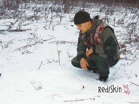 Сущность коэффициентов ЗМУ