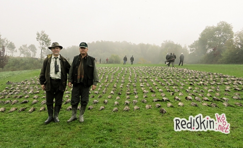 Бонджорно, синьор! Вы в Италии!