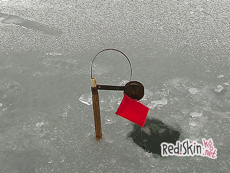 Налимья ночь