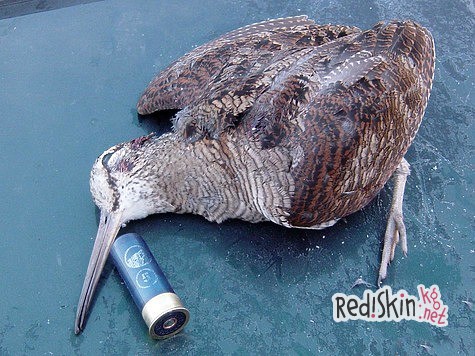 Приключения на тяге