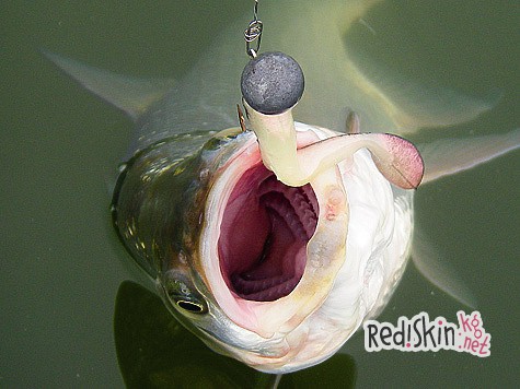 Спиннинг на быстром течении