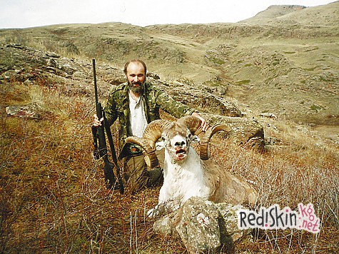 Таксидермия — это искусство