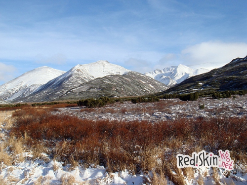 Камчатка. В первый раз на медведя