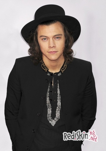 Линдси Лохан утверждает, что "отшила" солиста группы One Direction, потому что не знала кто он