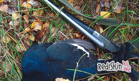 Трофей на память