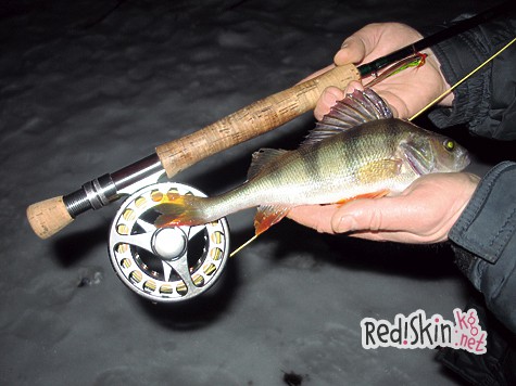 Зимний нахлыст на Москве-реке