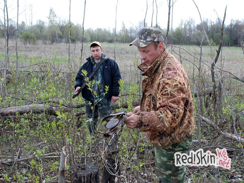 Гуманные капканы: за или против?