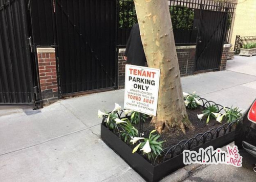 Мадонна решила попробовать себя в качестве дорожной службы, вызвав негодование соседей