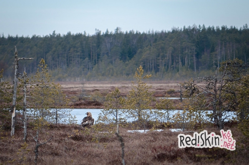 Встреча с хозяином неба