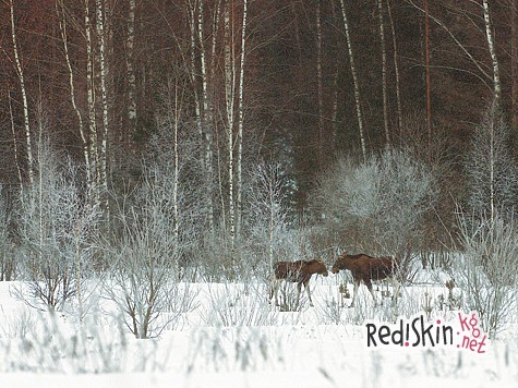 Закон о «ресурсах»